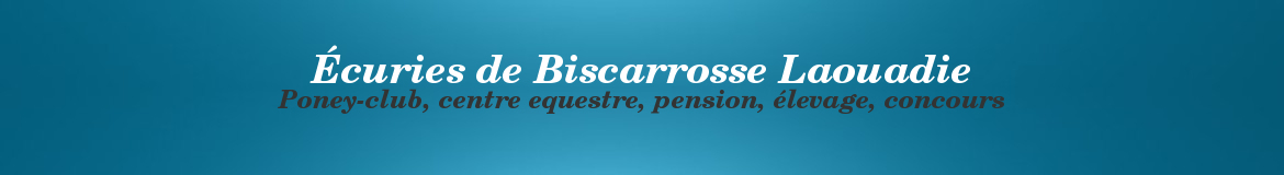 Écuries de Biscarrosse Laouadie